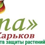 Купить семена в Украине