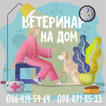 Ветеринар на дом в Харькове