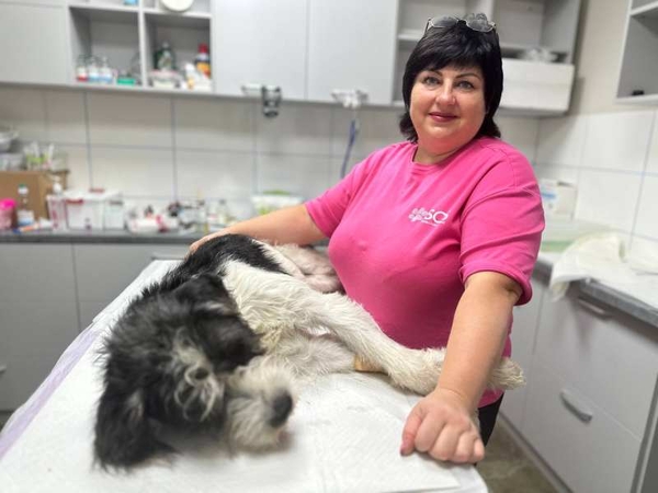 Ветклініка 