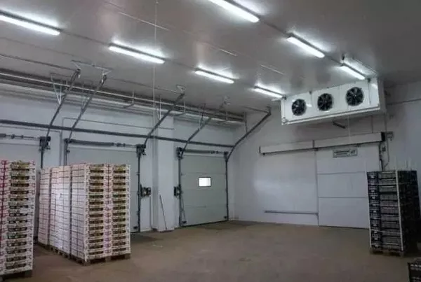 Холодильна камера Тривалого зберігання яєць (встановлення під ключ)