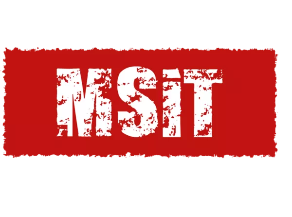 MSiT - интернет-магазин стиля и технологий